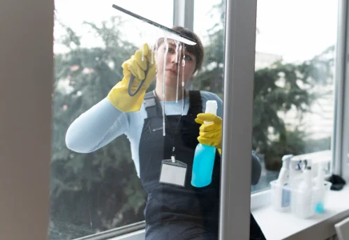Nettoyage de vitres intérieures et extérieures à Sainte-Gemmes-le-Robert